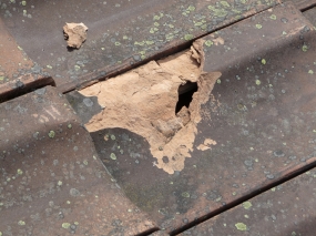 bedachung-unterhalt 02