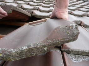 bedachung-unterhalt 03